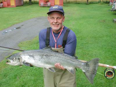 Kludd eller laks fra Driva?